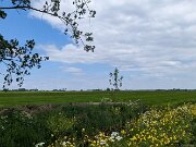 PXL_20230520_124902416