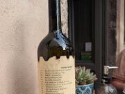 PXL_20230421_152631557