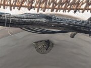 PXL_20230421_155849018