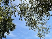 0F480DFD-1B85-4B04-A4BE-063E7C6721BB